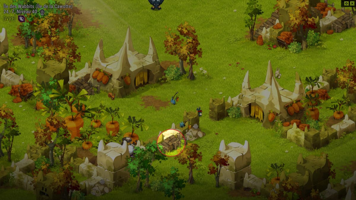 dofus-bois-de-chauffage-quete-sauvegarder-lespece