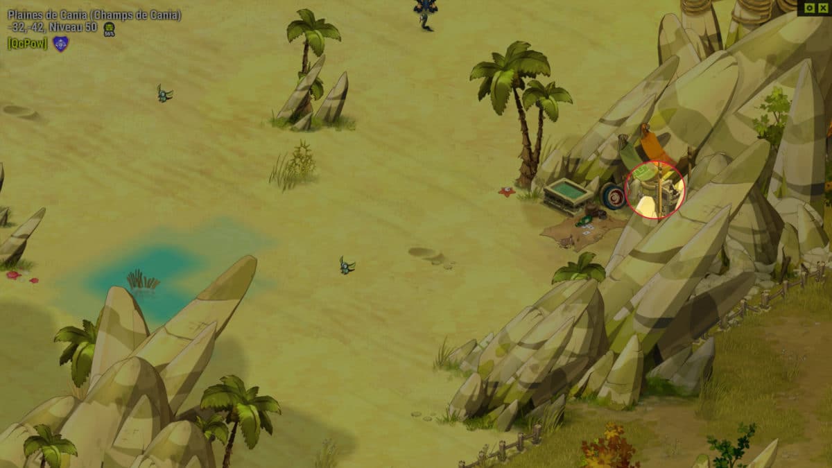 dofus-cache-secrete-de-malfe-quete-le-champ-de-la-mer