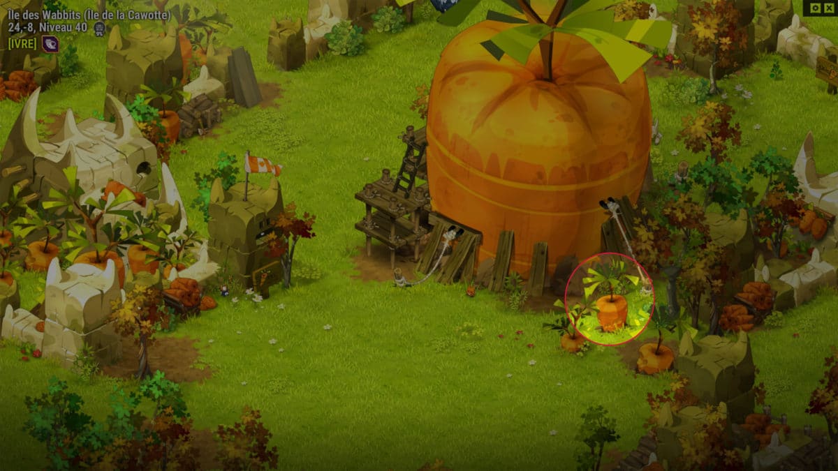 dofus-cawotte-mature-quete-faites-lamour-pas-la-guerre