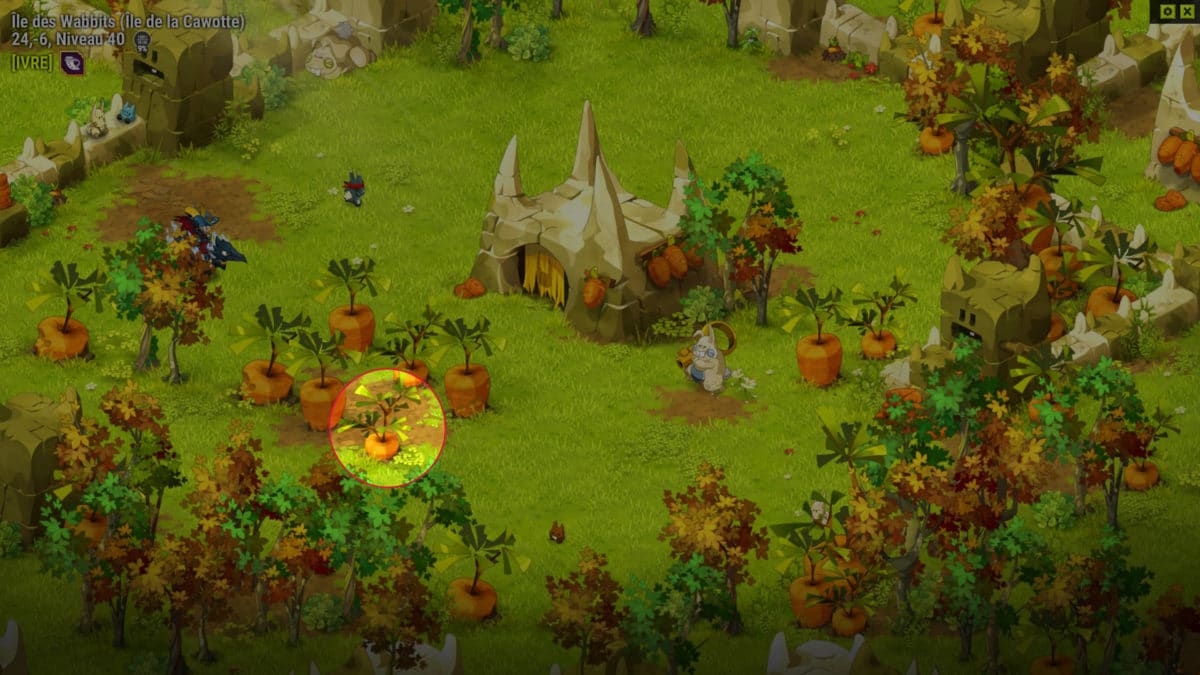 dofus-cawotte-piqure-1-quete-ca-sent-la-cawotte