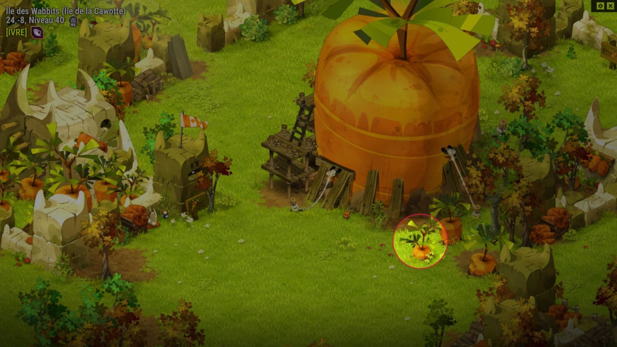 dofus-cawotte-piqure-2-quete-ca-sent-la-cawotte