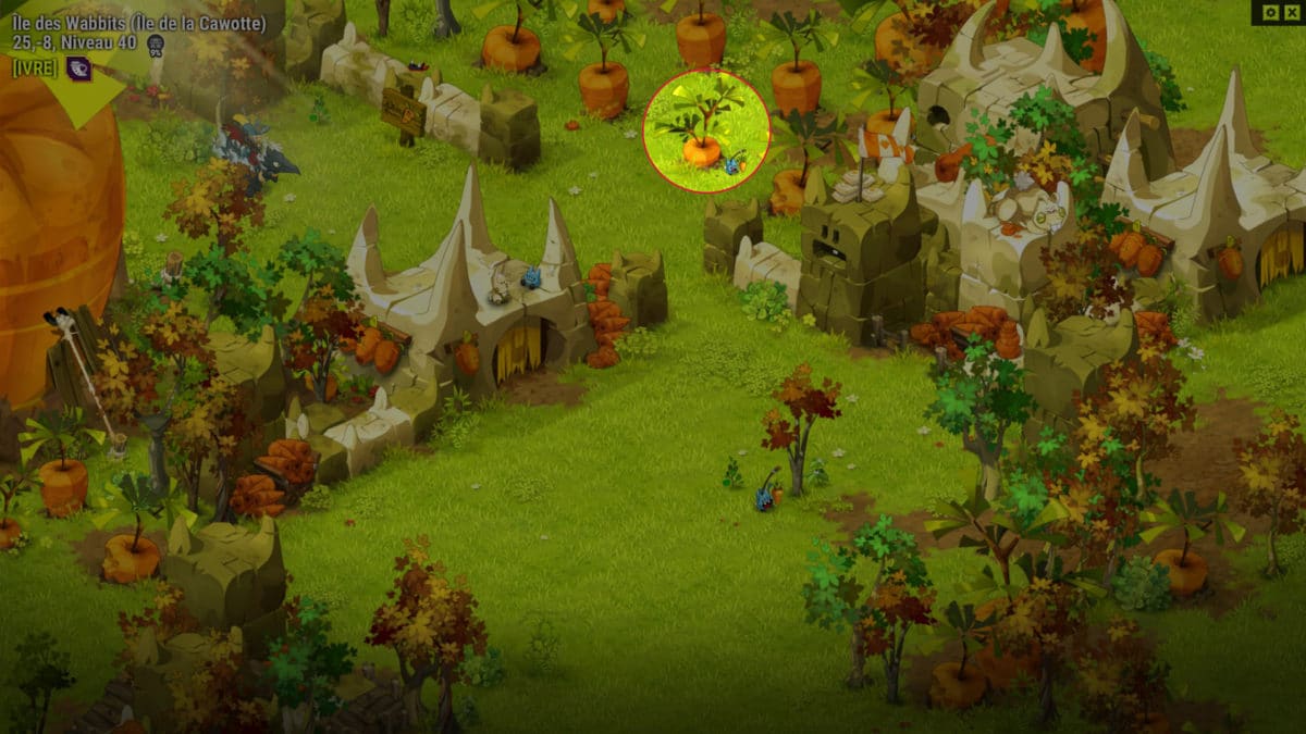 dofus-cawotte-piqure-3-quete-ca-sent-la-cawotte