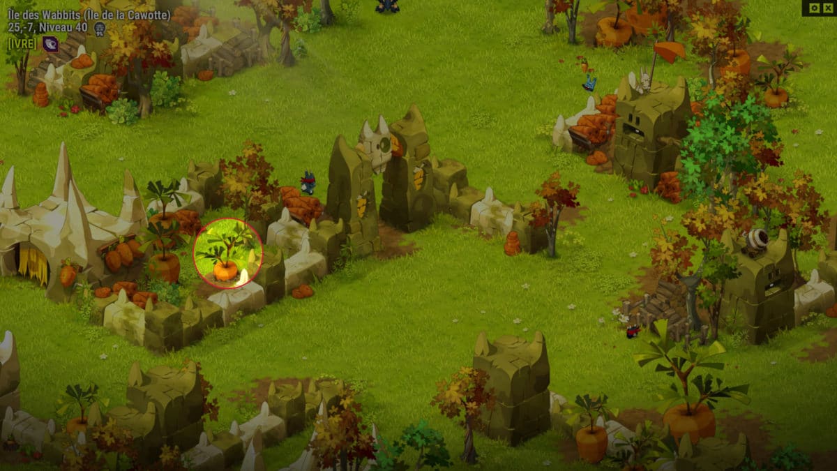 dofus-cawotte-piqure-4-quete-ca-sent-la-cawotte