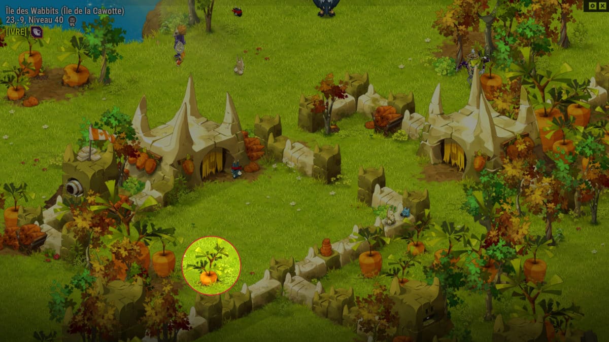 dofus-cawotte-piqure-6-quete-ca-sent-la-cawotte