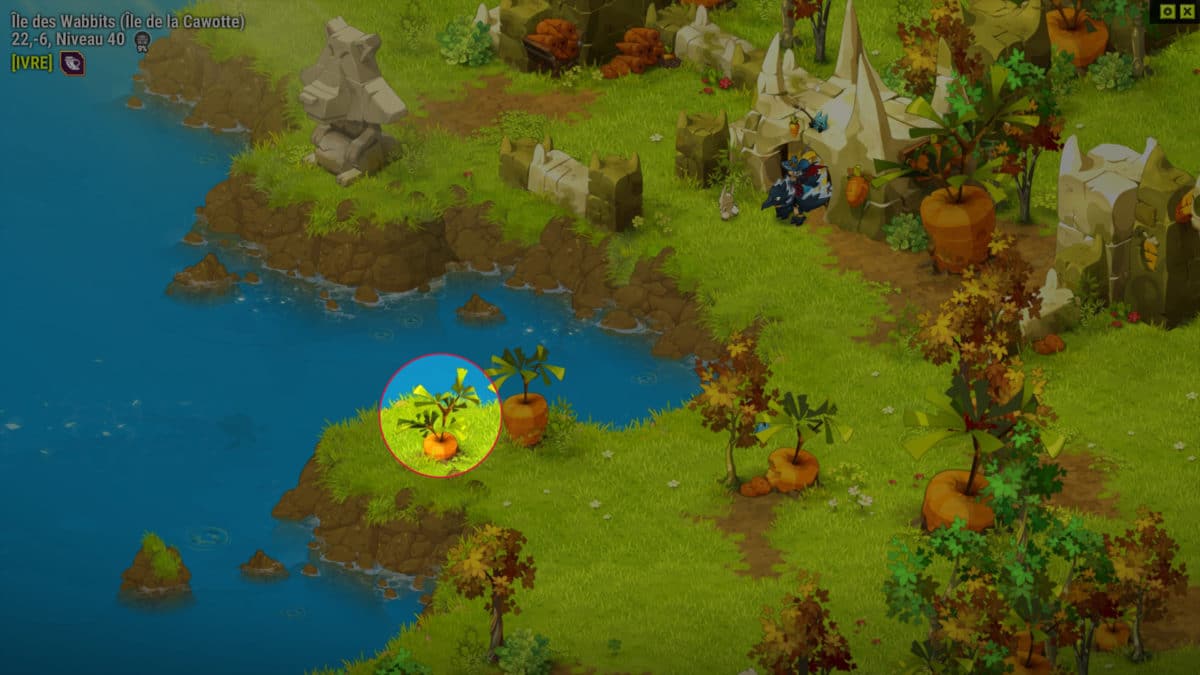 dofus-cawotte-piqure-7-quete-ca-sent-la-cawotte