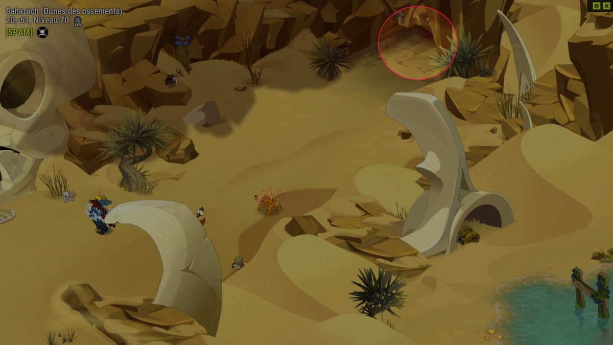 dofus-entree-caverne-quete-leau-douce-ou-leau-dure