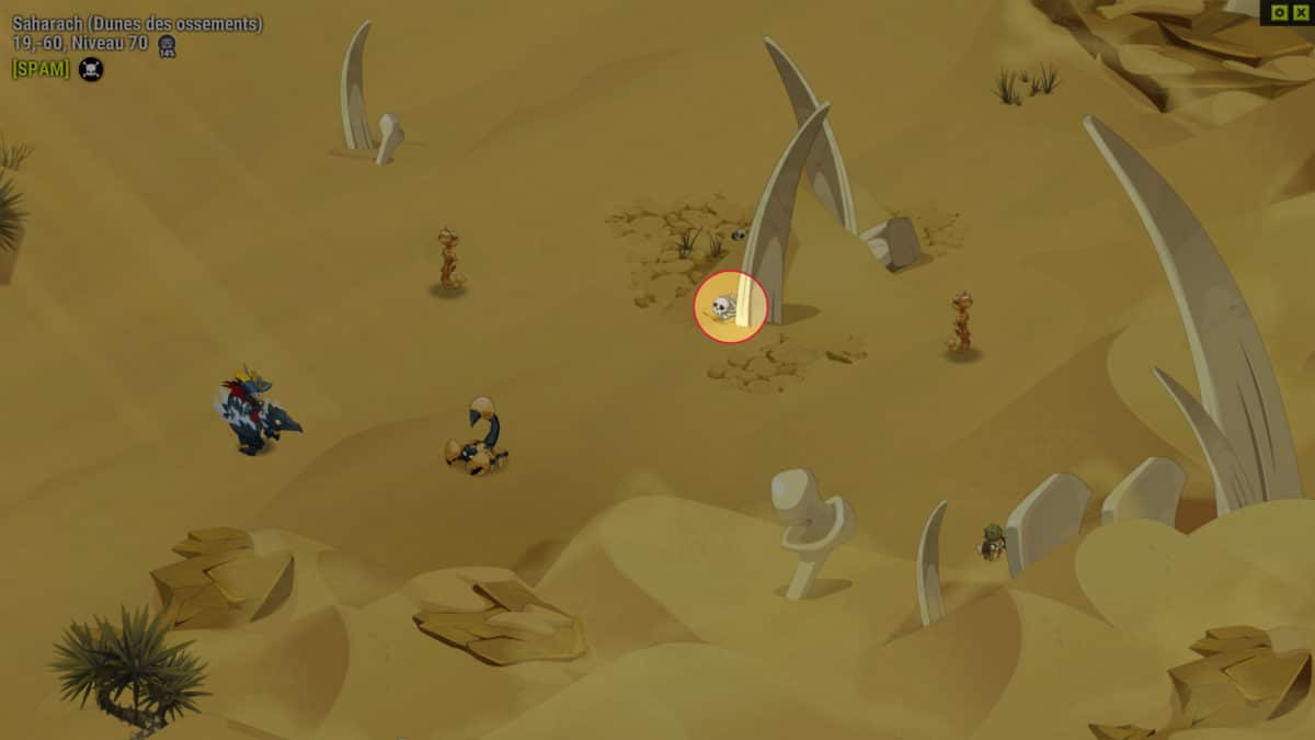 dofus-ossements-2-quete-retrouver-un-femur-dans-une-botte-dossements