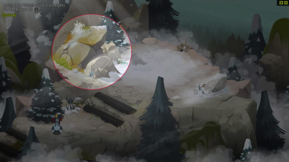 dofus-passage-secret-planque-quete-la-complote-des-poms