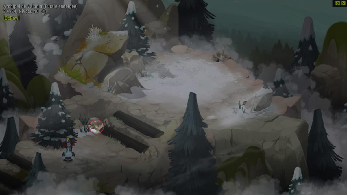 dofus-sandwich-quete-la-complote-des-poms