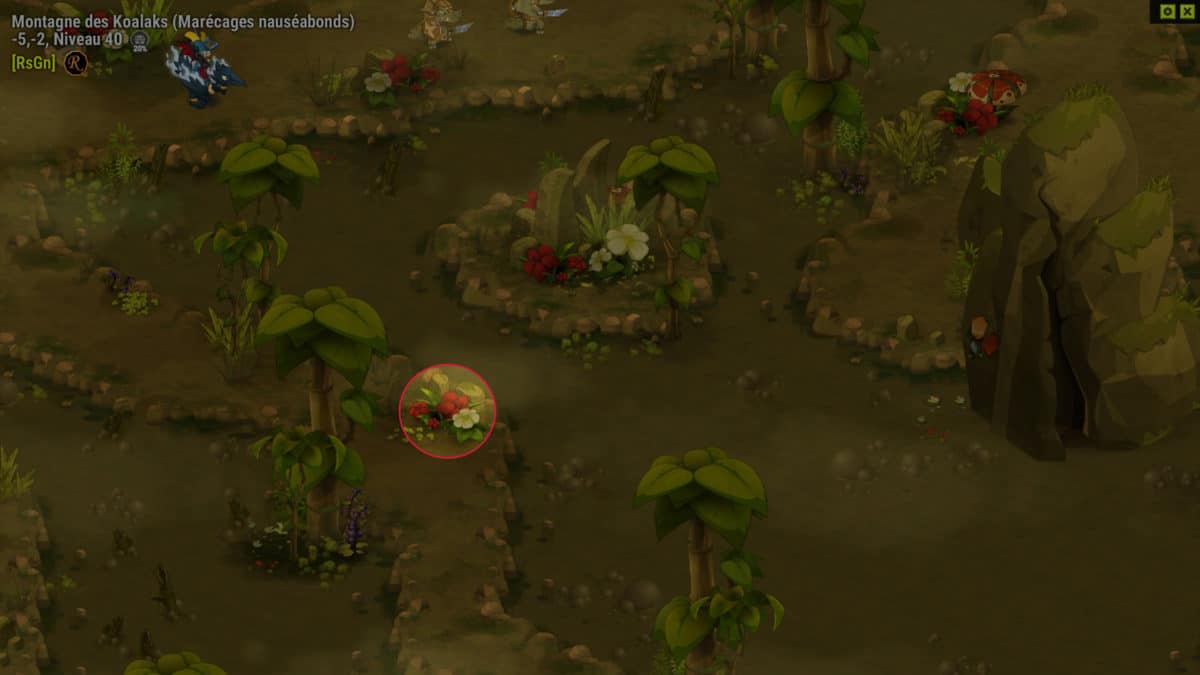 dofus-fleur-des-marais-quete-retourner-voir-le-dark-vlad-toujours-sans-mourir