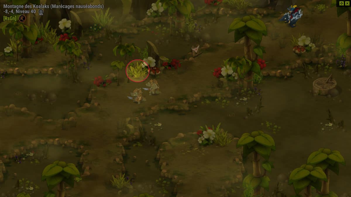 dofus-plante-palustre-quete-retourner-voir-le-dark-vlad-toujours-sans-mourir