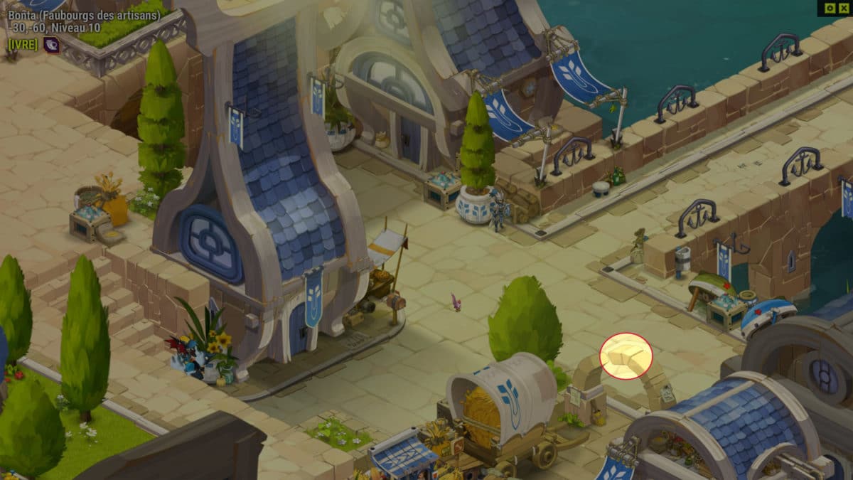 dofus-vestiges-arche-quartier-des-eleveurs-quete-naissance-dune-vocation